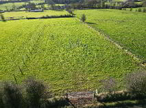 Photo 3 of Hollywell, Derrane, Roscommon Town