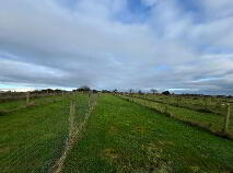 Photo 3 of Boulea, The Commons, Ballingarry