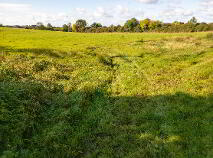 Photo 4 of 33 Acres, Cloneymeath, Summerhill