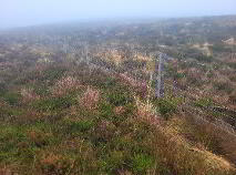 Photo 6 of Gortersluin, Lough Talt, Aclare