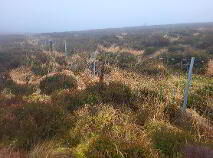 Photo 7 of Gortersluin, Lough Talt, Aclare