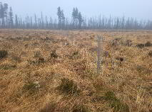 Photo 8 of Gortersluin, Lough Talt, Aclare