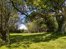 Photo 95 of Glasscloon, Coolderry, Roscrea