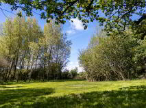 Photo 96 of Glasscloon, Coolderry, Roscrea