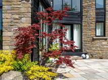 Photo 5 of Glasscloon, Coolderry, Roscrea