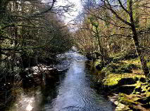 Photo 12 of Mount Melleray, Cappoquin