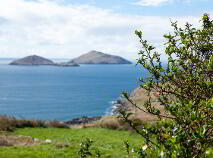 Photo 14 of Scariff Cottage, Coomatloukane, Caherdaniel