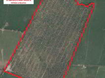 Photo 2 of Approx. 24 Acres Of Land, Abbey, Loughrea