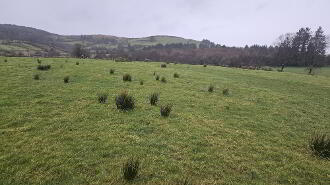 Photo 1 of Lands At Glen Road, Tempo