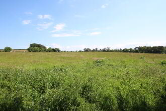 Photo 1 of Agricultural Lands, Loup Road, Moneymore, Magherafelt