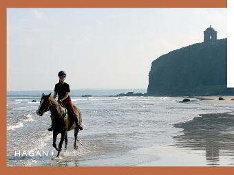 undefined photo 4