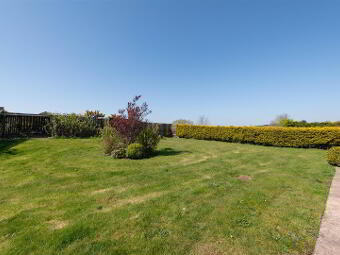 44a Scaddy Road, Downpatrick, BT30 9BP photo 3