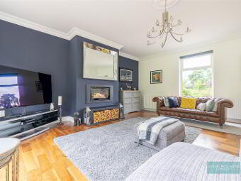 101 Villa Wood Road, With 3.6 Acres Inc Paddock, Dromore, BT25 1LQ photo 3