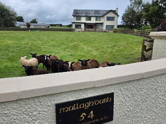'Mullaghdubh', 54 Ballykenver Road, Armoy, Ballymoney, BT53 8TR photo 4