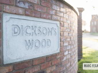 47 Dickson's Wood, Craigavon, BT65 5FA photo 3