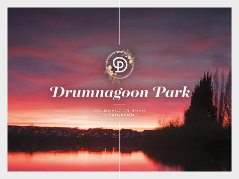 Photo 1 of Drumnagoon Park, Craigavon