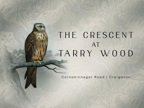 Photo 1 of The Crescent at Tarry Wood, Lurgan