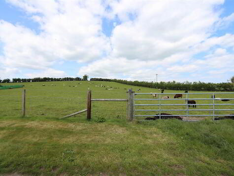 Photo 1 of Between 24-28, Lough Road, Crossgar, Downpatrick