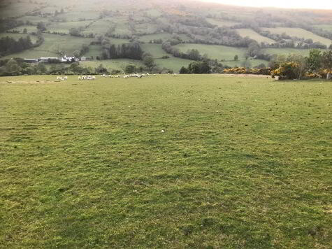 Photo 1 of 'LANEY', Tromra Road, Cushendall, Ballymena