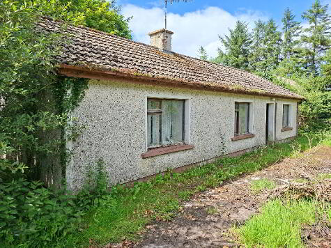 Photo 1 of 40 Devenish, Church Road, Monea