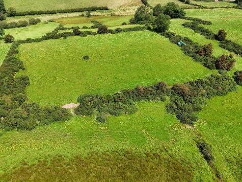 Photo 1 of Excellent 12.5 Acre Farm, Kilnahusogue Road, Fintona, Omagh