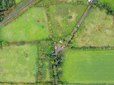 Photo 1 of Bungalow For Renovation & C. 11 Acres, 74 Kilraughts Road, Ballymoney