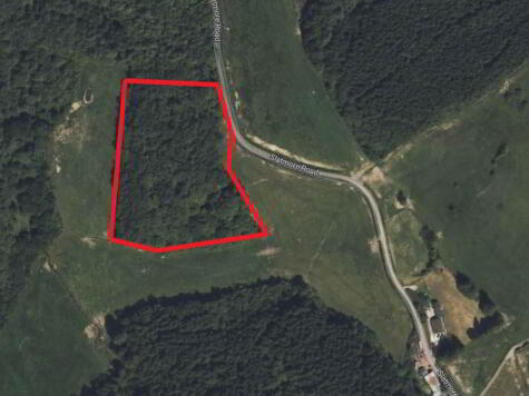 Photo 1 of Circa 7.2 Acres, Of Unmanaged Woodland, Clogher