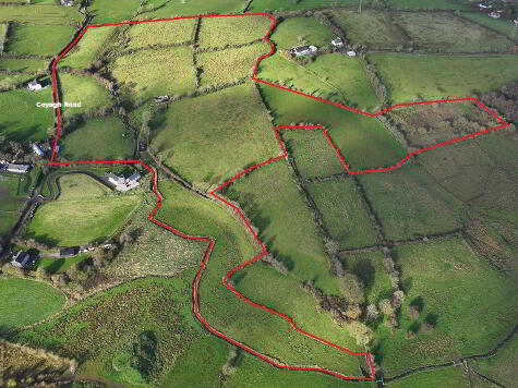 Photo 1 of Coyagh Road, Dromore, Omagh