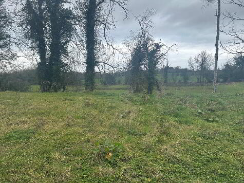 Photo 1 of 90 Moss Road, Waringstown