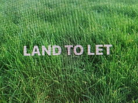 Photo 1 of Approximately 30 Acres, Land To Let At Ruskey Road, Coagh, Cookstown