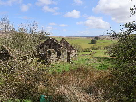Photo 1 of 60m East Of, 38 Old Cushendun Road, Newtowncrommelin, Ballymena