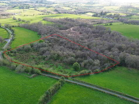 Photo 1 of Site, & 4.5 Acres Burrow Road, Omagh