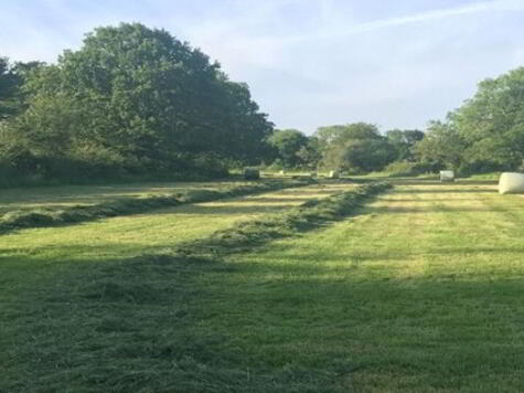 Photo 1 of First Cut Of Silage, Fintona /Omagh Area, Omagh