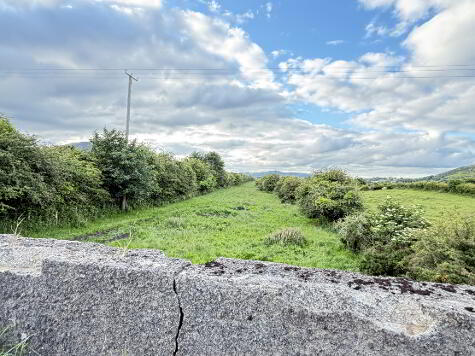 Photo 1 of Agricultural Land, Finegans Road, Jonesborough, Newry