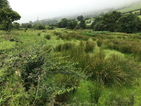 Photo 1 of 'Laney', Tromra Road, Cushendall, Ballymena