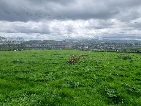 Photo 1 of Land 44M South Of 19 Rea Hill Road, Newtownabbey