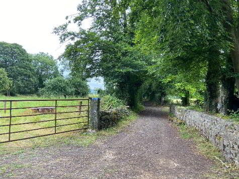 Photo 1 of Freestone Hill & Coolgrange, Clifden, Kilkenny