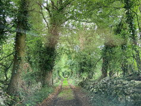 Photo 1 of (Lot Newpark) Coolgrange, Clifden