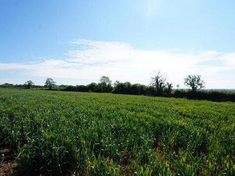 Photo 1 of Site C N Of, 33 Largy Road, Crumlin