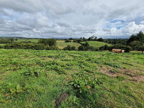 Photo 1 of Development Land With Opp For 8 Dwellings, 28 Edenmore Lane, Opposite St...Tempo