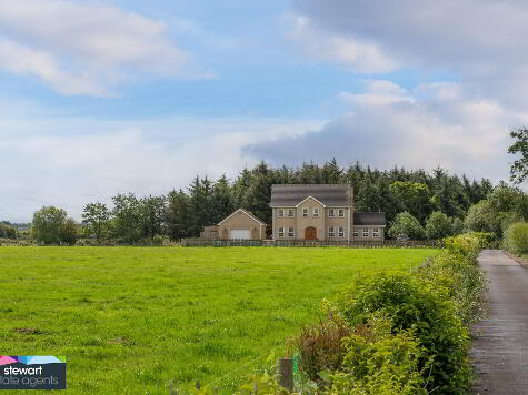 Photo 1 of 2a Brankins Island Road, Aghalee, Craigavon