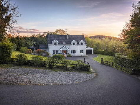 Photo 1 of 87 Mullynaburtlan Road, Lisnaskea, Enniskillen