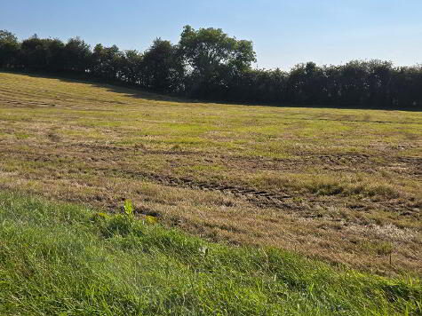 Photo 1 of Valuable 47 Acre Farm With Outbuildings, Bolies Road, Fivemiletown