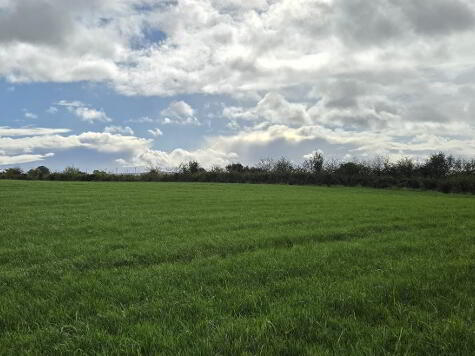 Photo 1 of Very Desirable Farm Of Agricultural Land, Carnalea Road, Fintona, Omagh