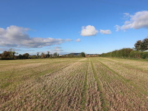 Photo 1 of Agricultural Lands Opposite 21 Ballydrain Road, Comber