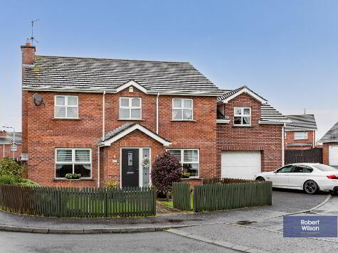 Photo 1 of 67 Larkfield Meadows, Moyraverty, Craigavon