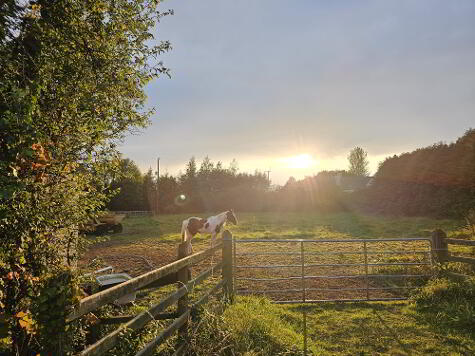 Photo 1 of Site 25m North, 28c Drumsough Road, Randalstown