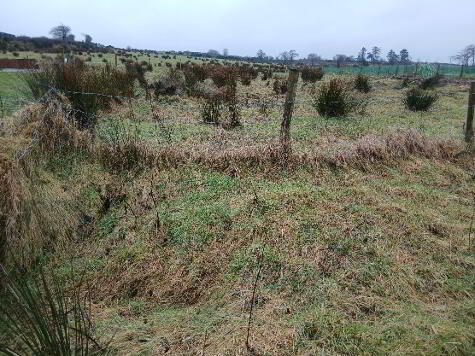 Photo 1 of Site Between 91 & 93 Cahore Road, Draperstown