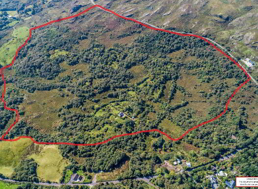 Lickeen, Glengarriff, P75Y104 photo
