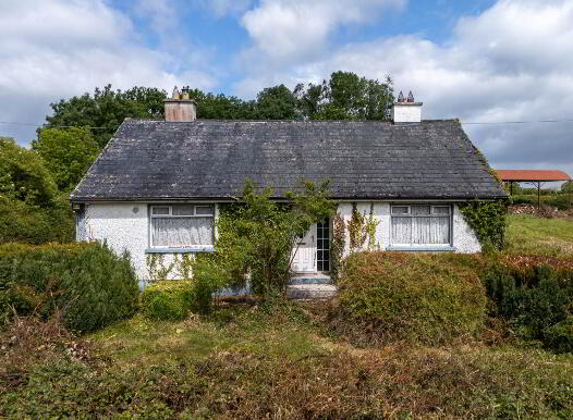 Ballincur, Rahan photo
